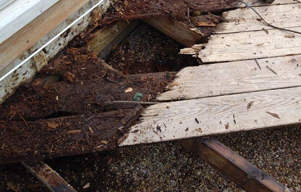 rotten wood joists